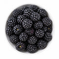 Moras congeladas Nova Berry