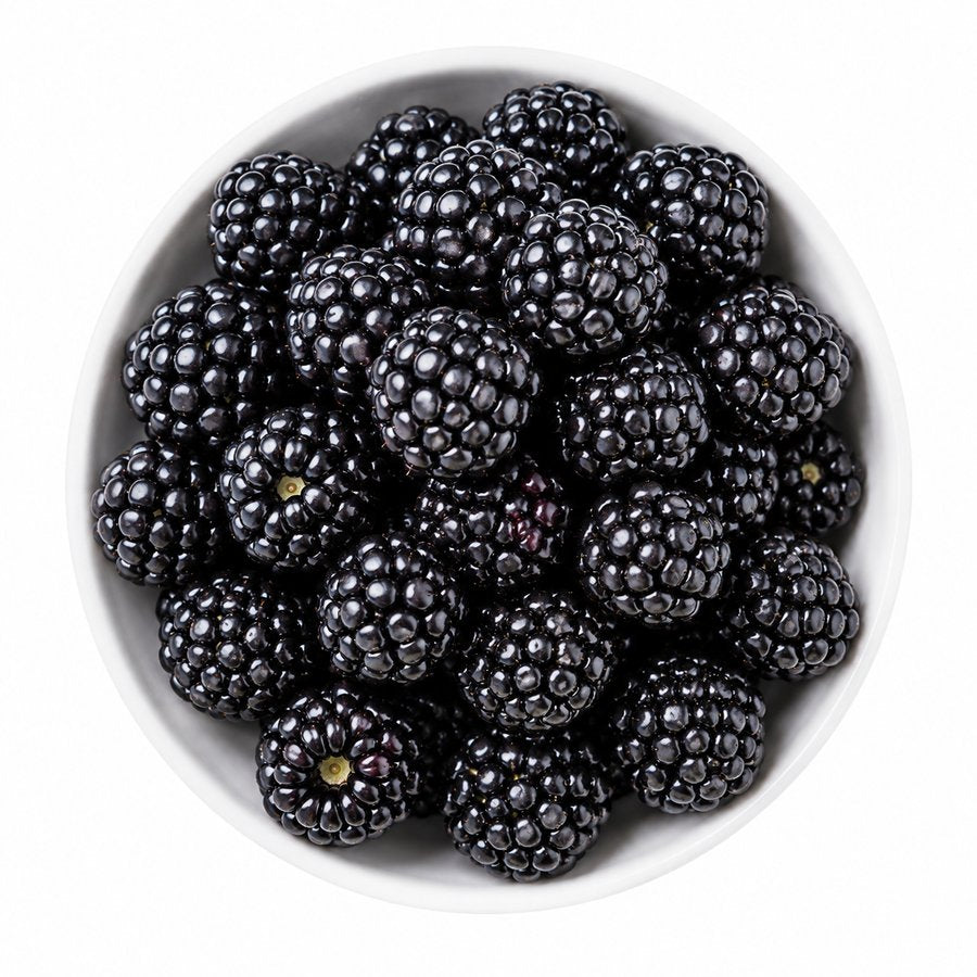 Moras congeladas Nova Berry